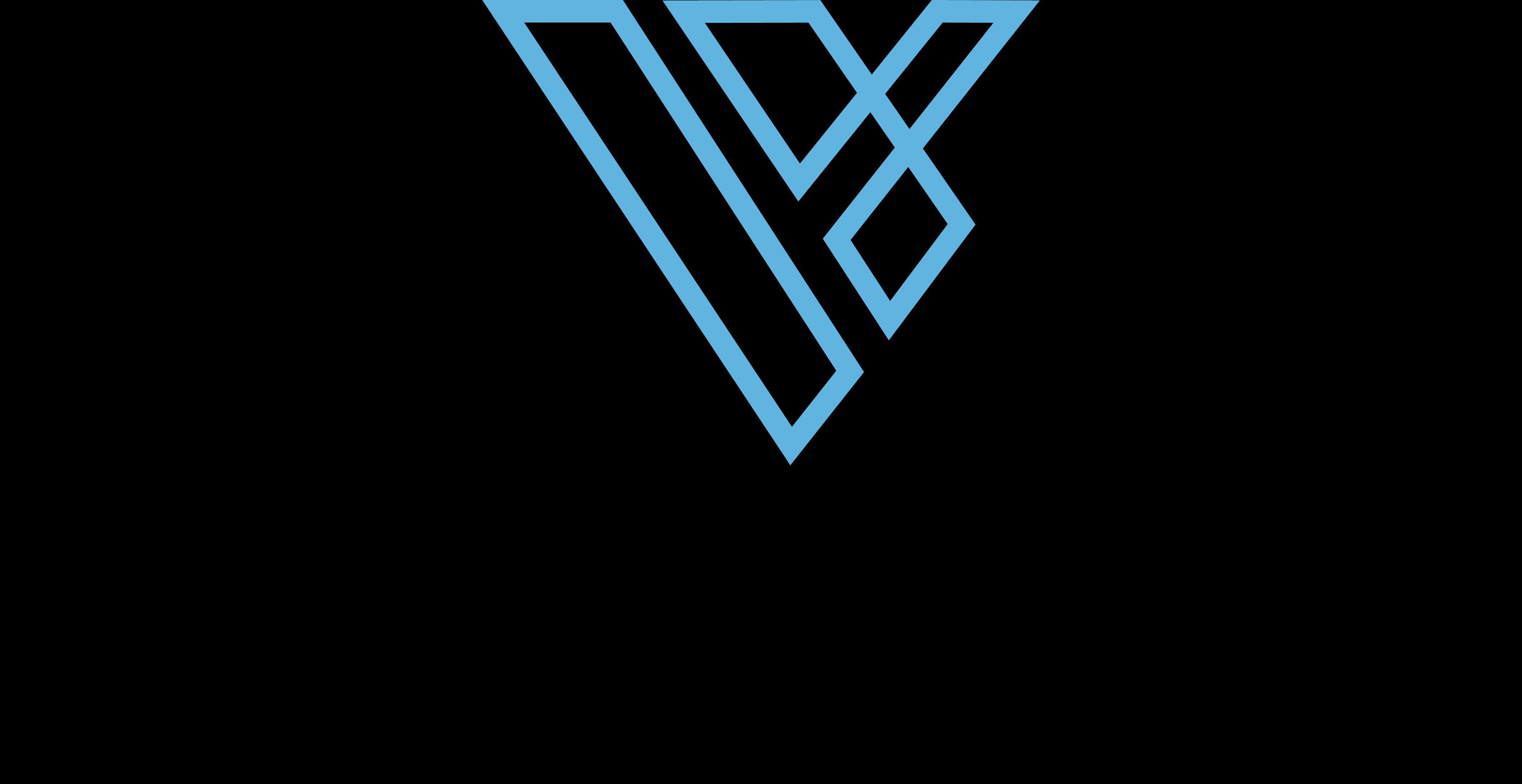 logo for Vynxlabs Guides